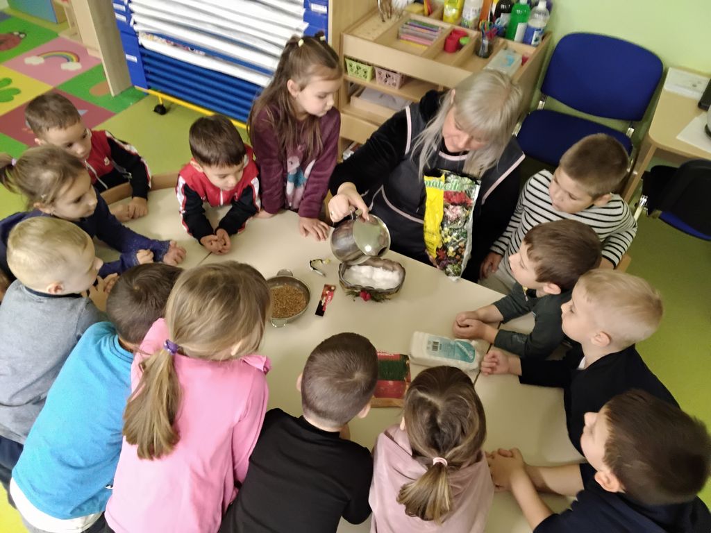 Sijanje božićne pšenice